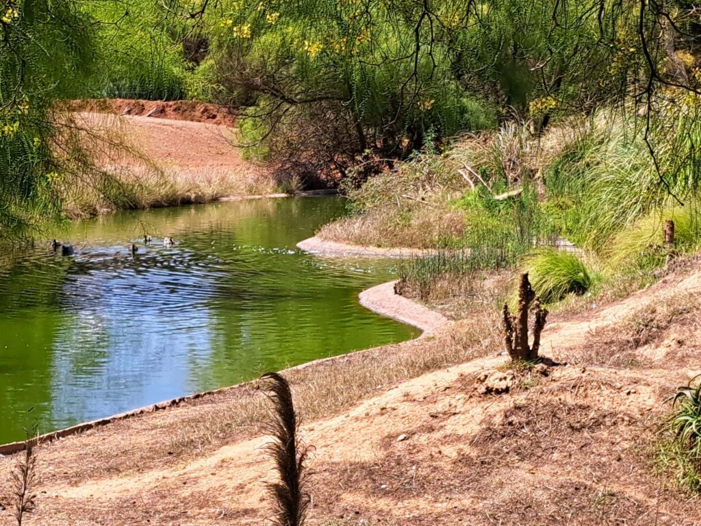 20230530 120418 scaled