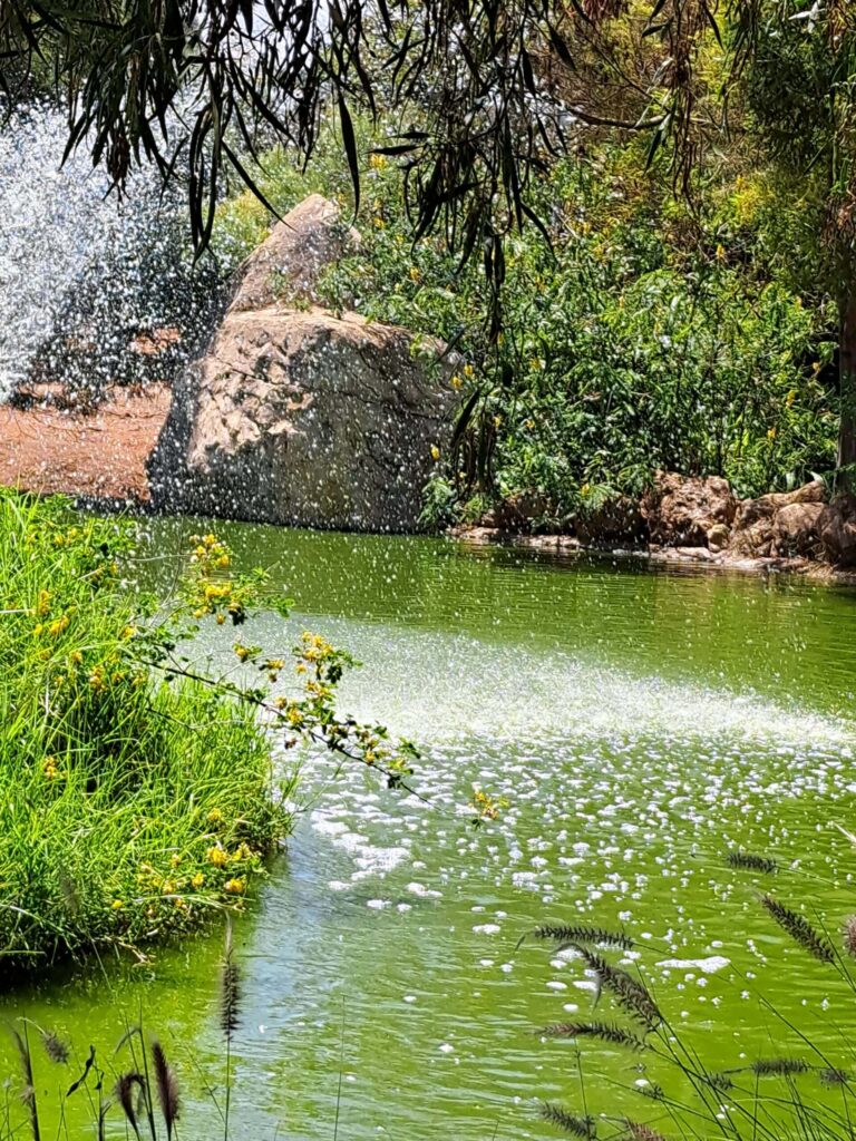 20230530 120648 scaled