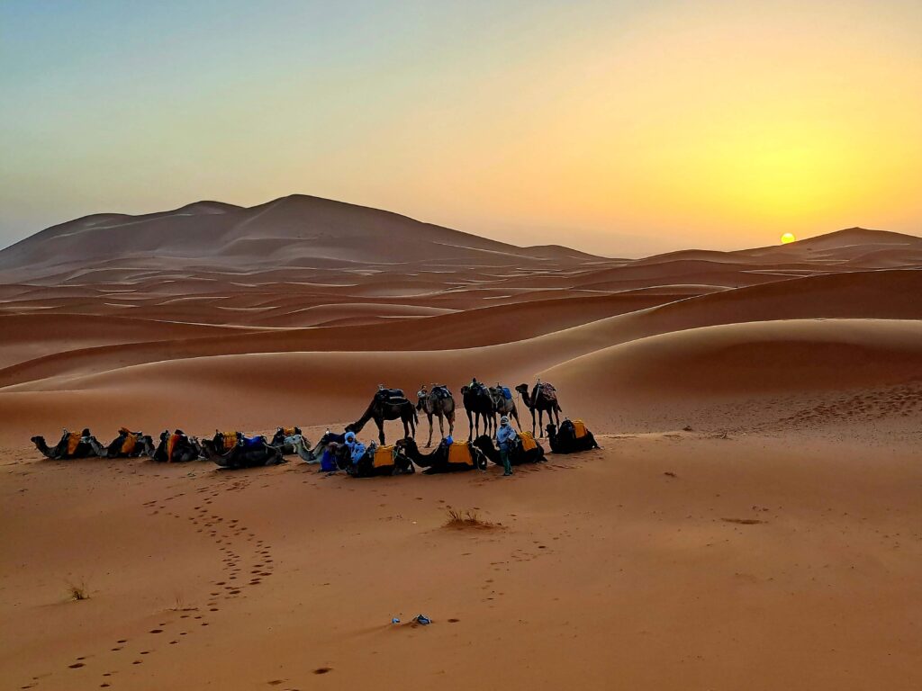 Ein neuer Morgen in der Wueste