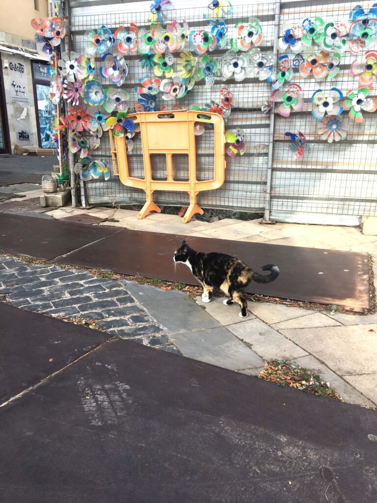 Glueckskatze vor Keramikblueten