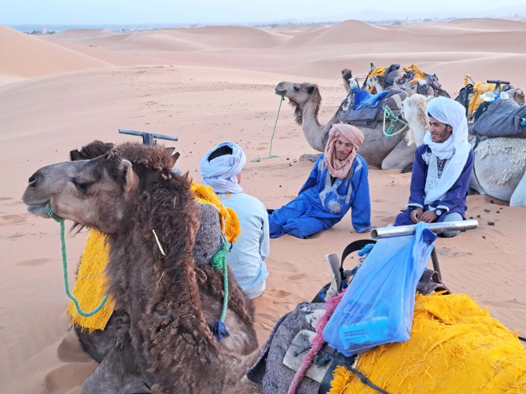 Kamele und Kamelfuehrer