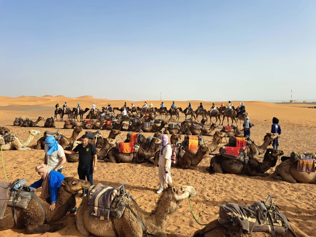 Kamelkarawane