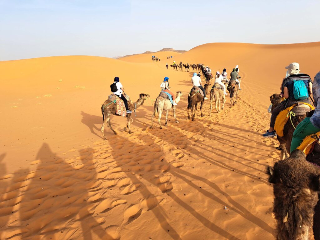 Lange Schatten Kamelritt