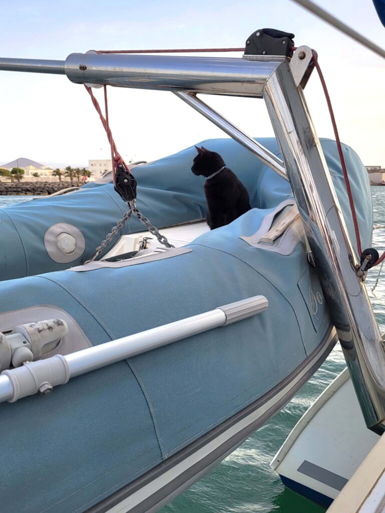 Ein blinder Passagier