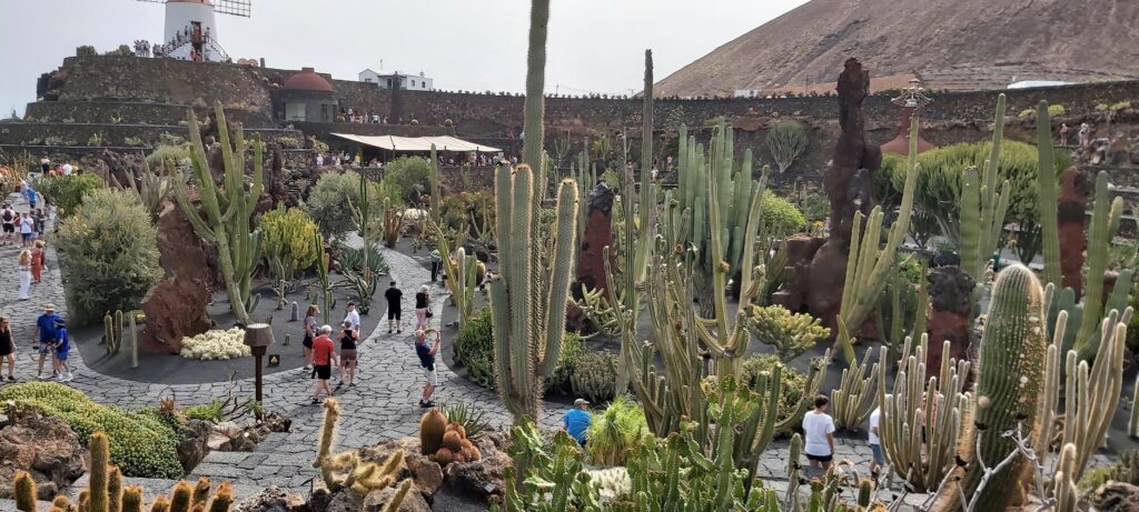 Kakteengarten Cesar Manrique