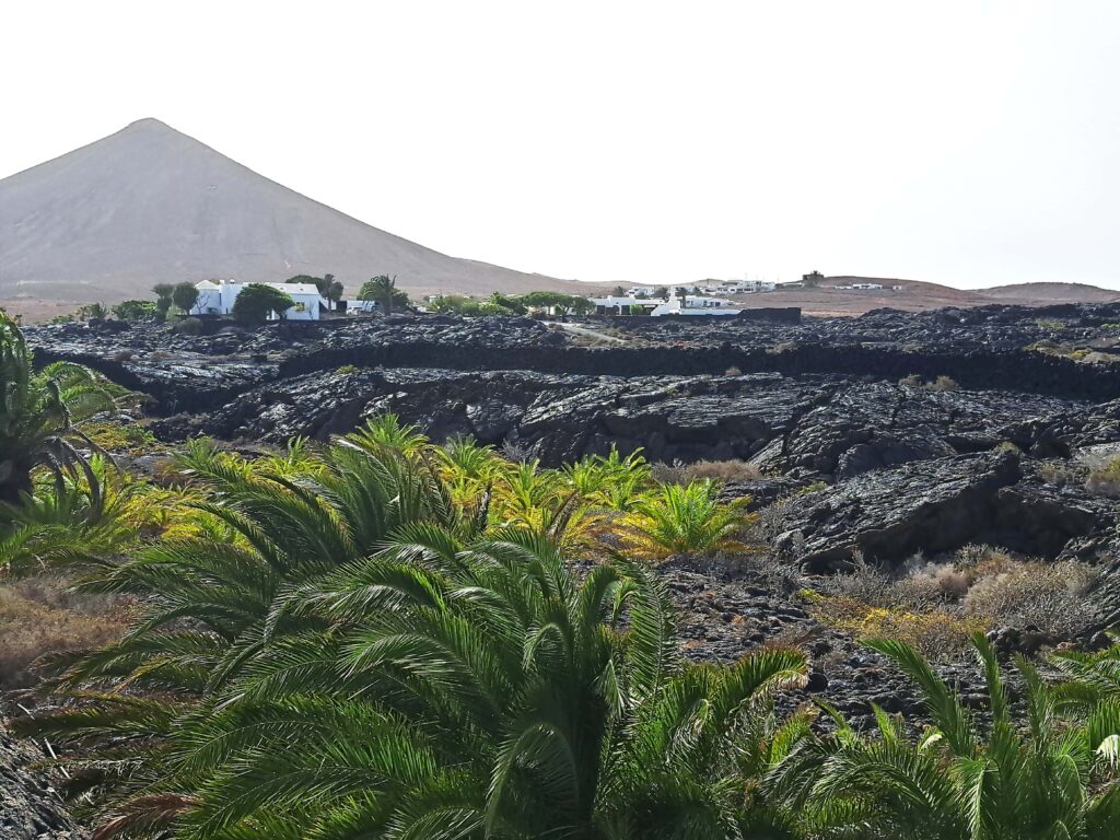 Lavafeld Haus Cesare Manrique