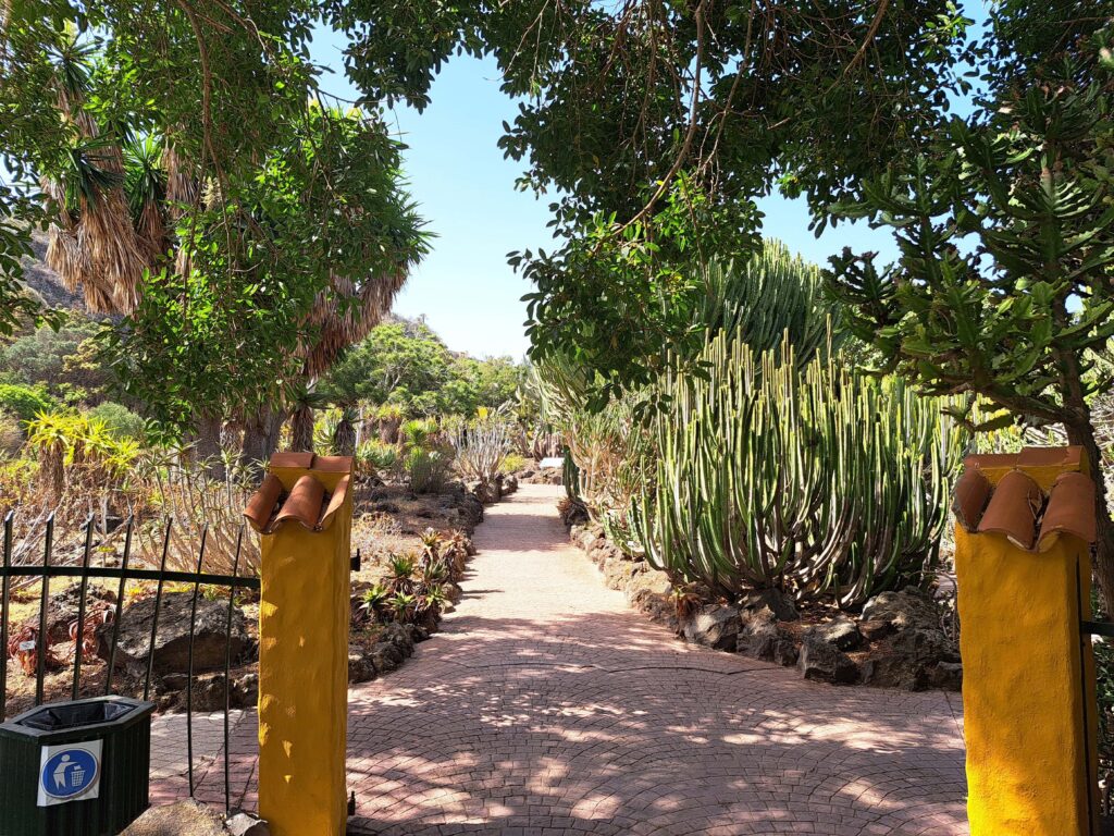 Jardin de Botanico Kakteengarten