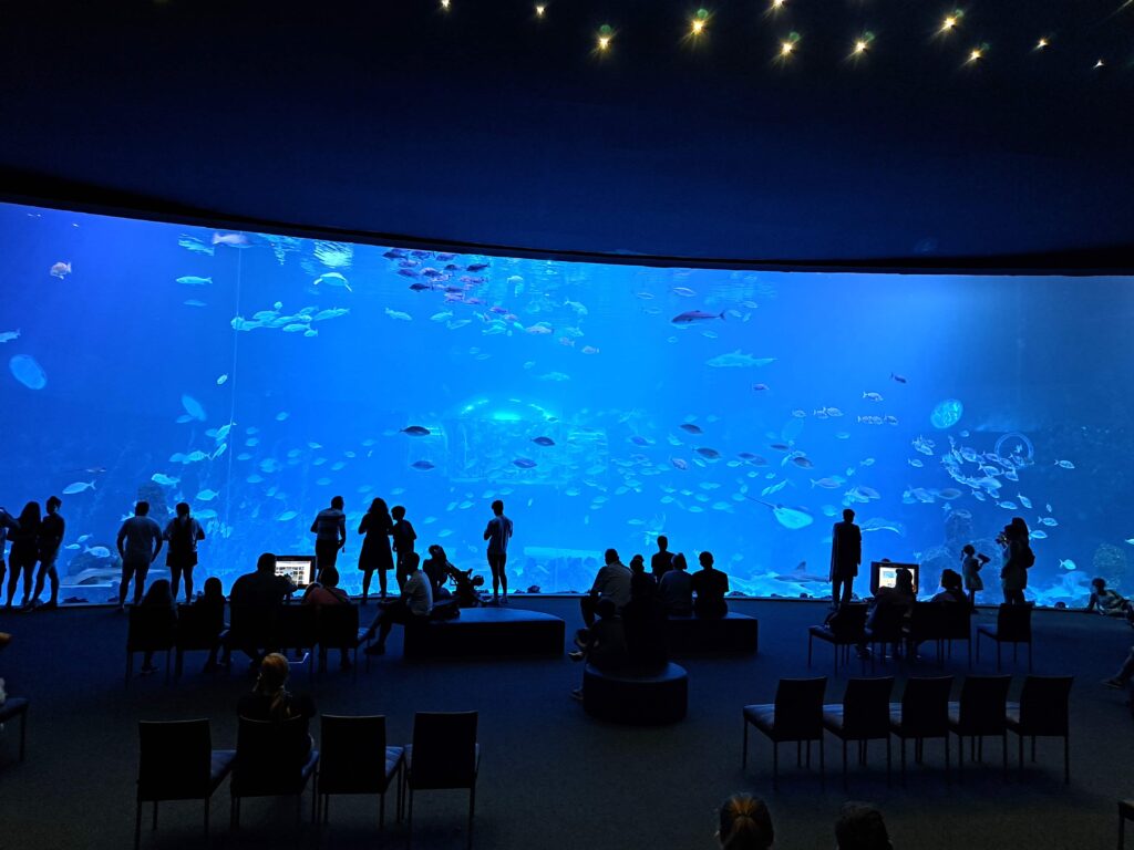 Seeaquarium Panorame