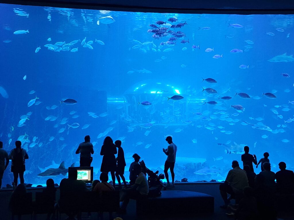 Seeaquarium nah