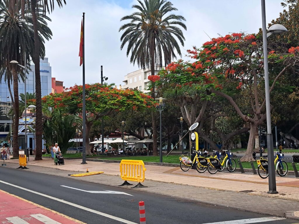 Stadtbikes in Las Palmas