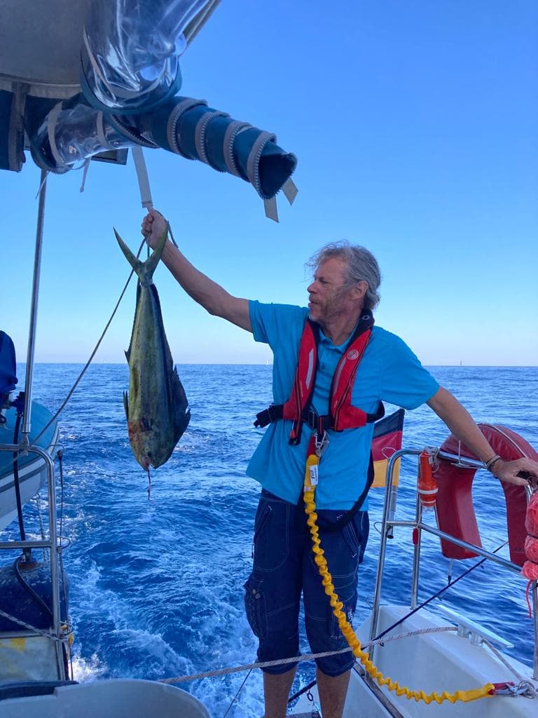 WhatsApp Bild 2023 11 19 um 17.11.05 b7382016