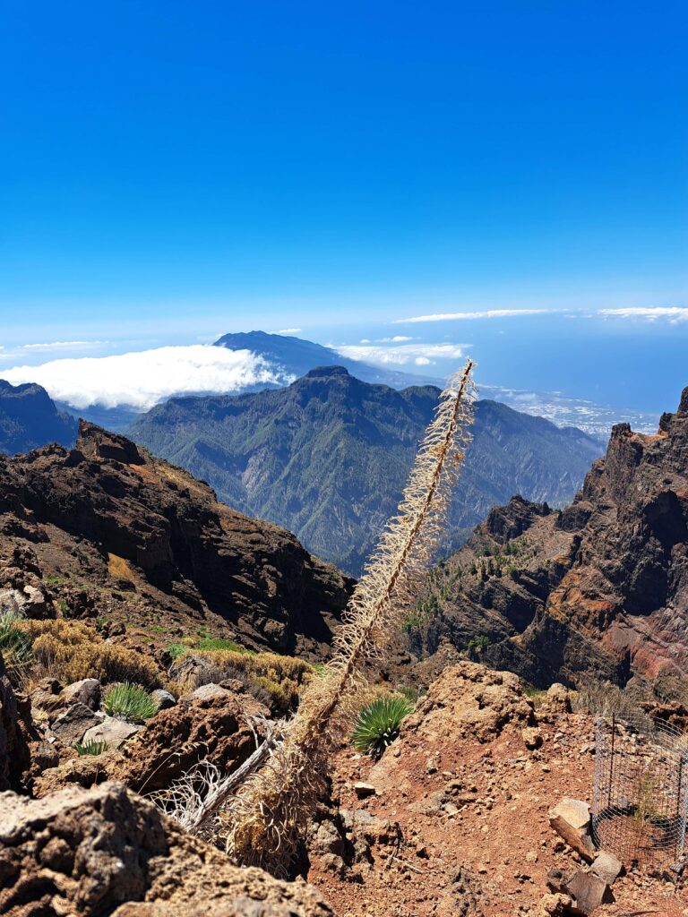 Blick ueber die Gipfel