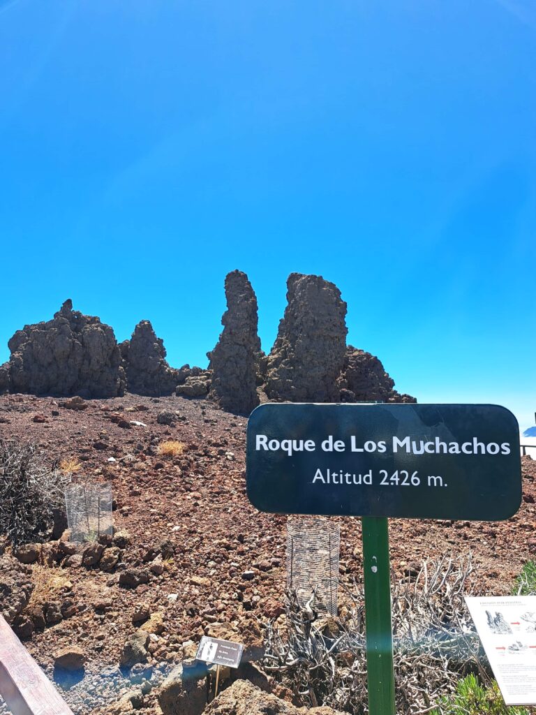 Roque de Los Muchachos
