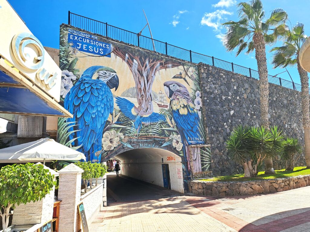 Wandgemaelde Papagei Los Christianos