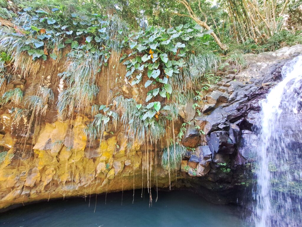 Annadale Wasserfall Nahansicht