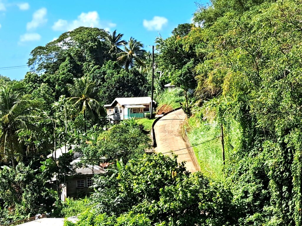 Grenada Vegatation Strassen