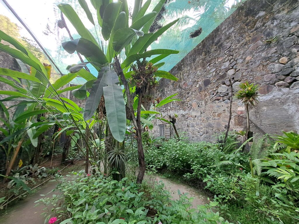 15 Flughalle Papillon