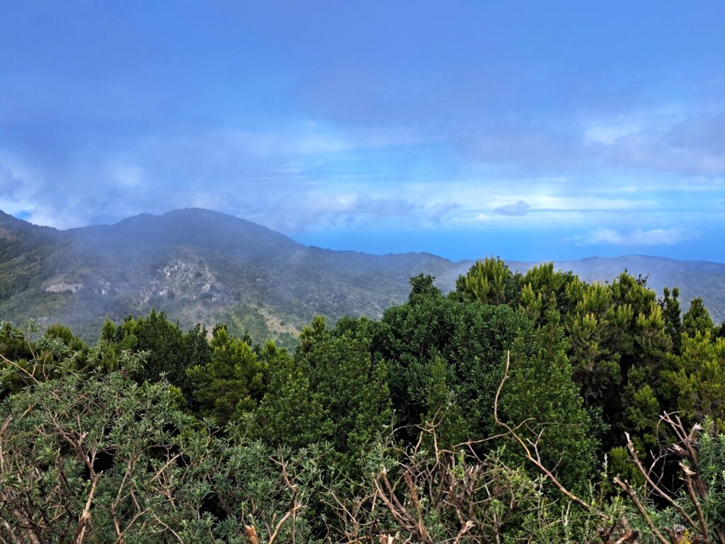 Auf dem Gipfel vom La Gomera