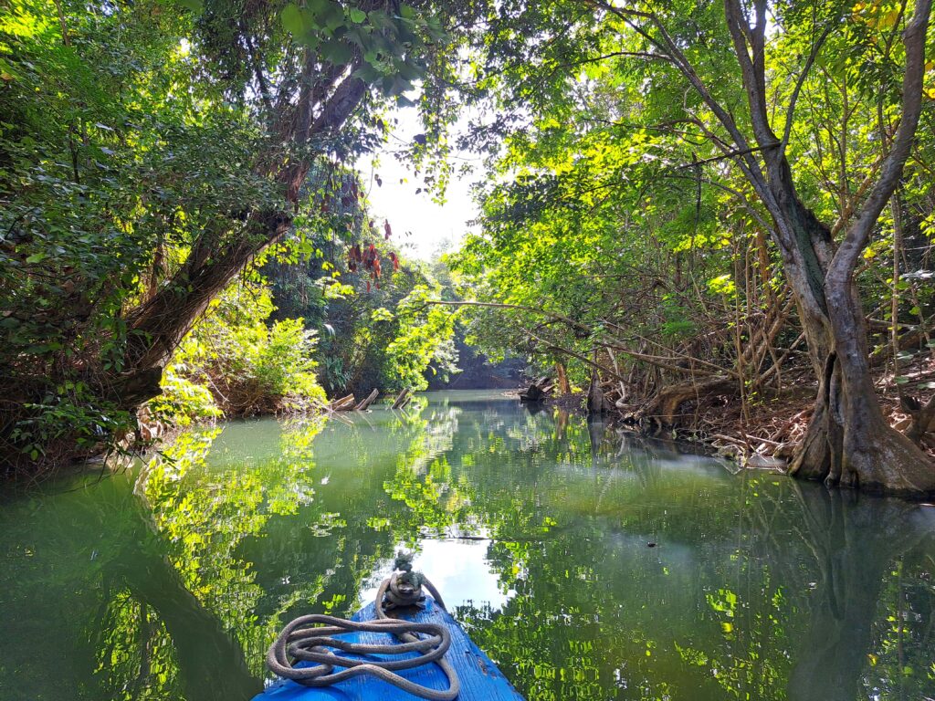 Fahrt Indian River 1