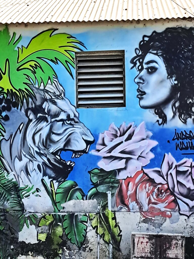 Guadeloupe Streetart 05
