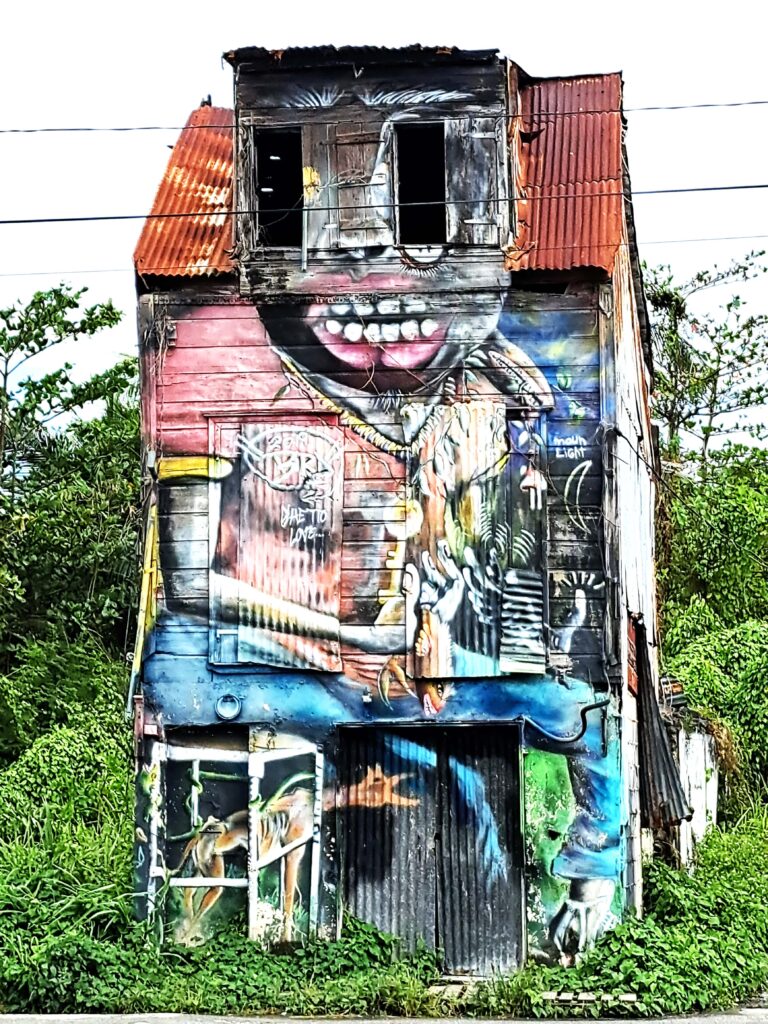 Guadeloupe Streetart 10