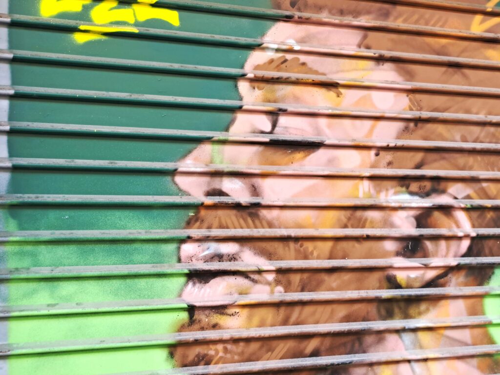 Guadeloupe Streetart 26