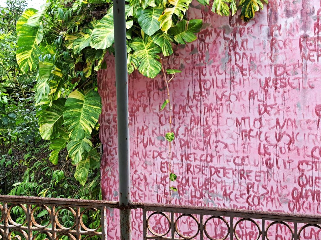 Guadeloupe Streetart 31