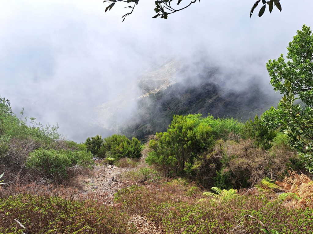 Nebel auf La Gomera