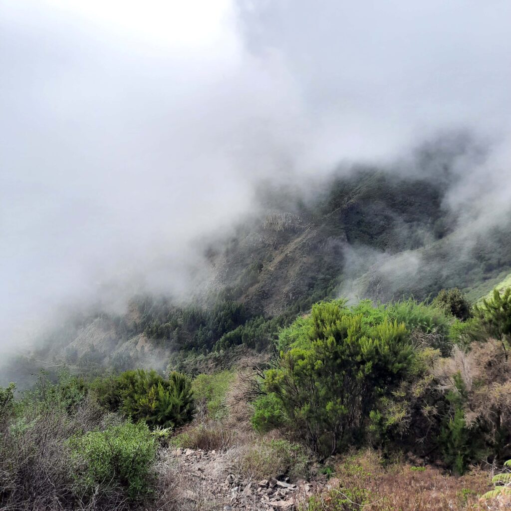 Nebel kriecht ueber das Land