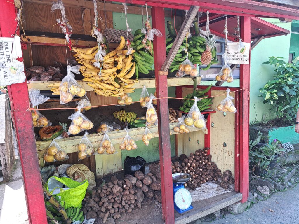 Obststand Dominica 1
