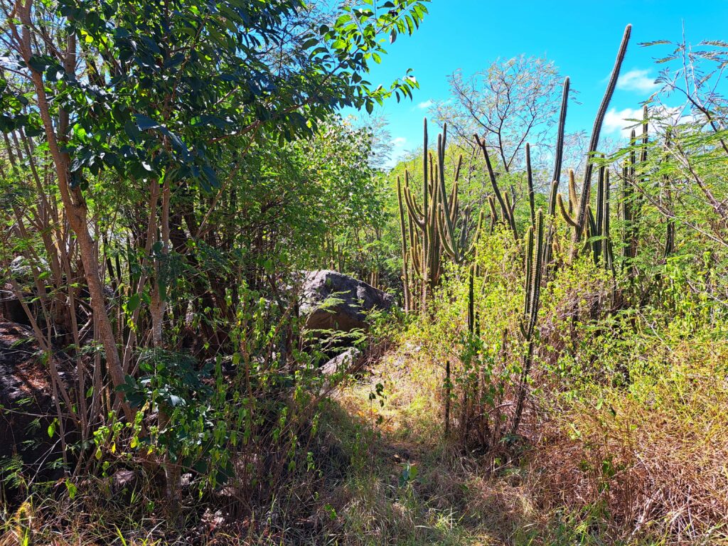 Wanderung ueber die Insel Mayreau