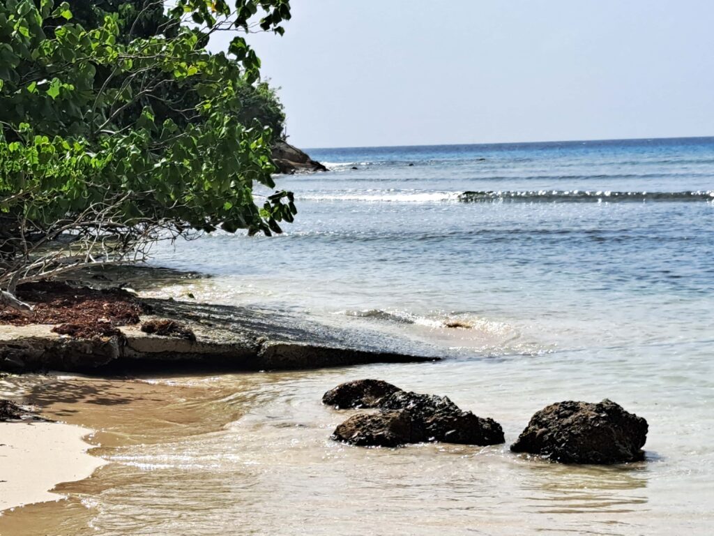 Strand Natur Falmouth Beach