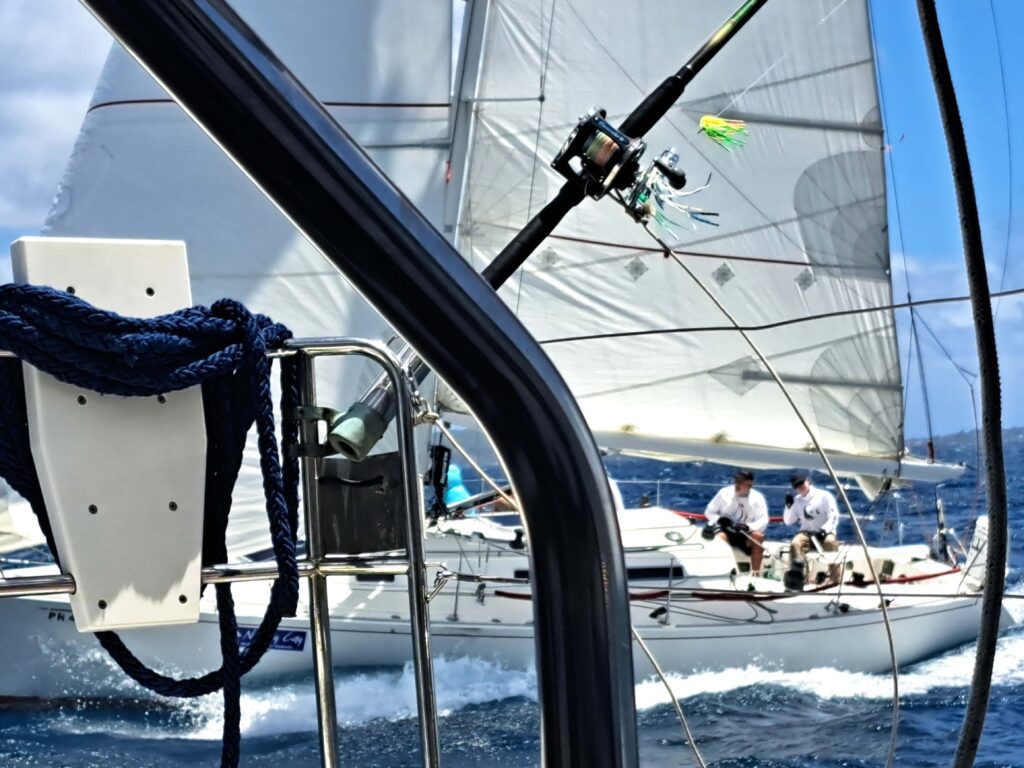 20 Round Tortola Race