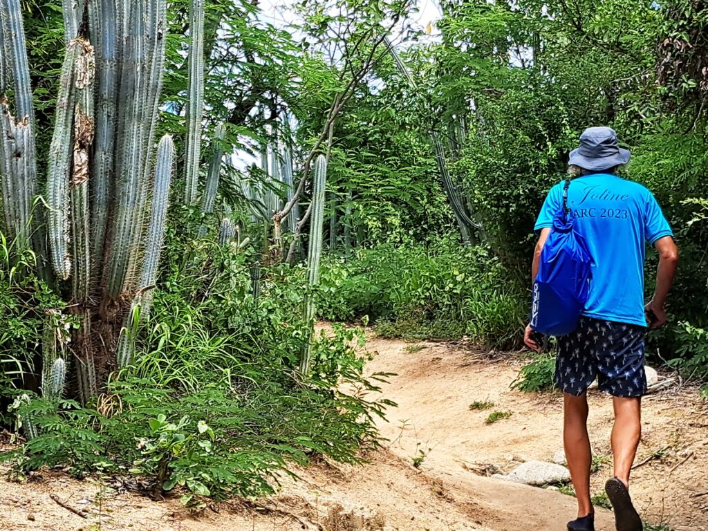 Durch den Nationalpark führen naturbelassene Wege.