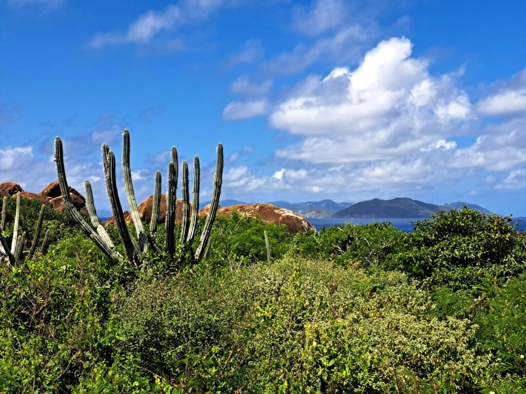 Weiter Blick auf die Inselwelt der British Visgin Islands