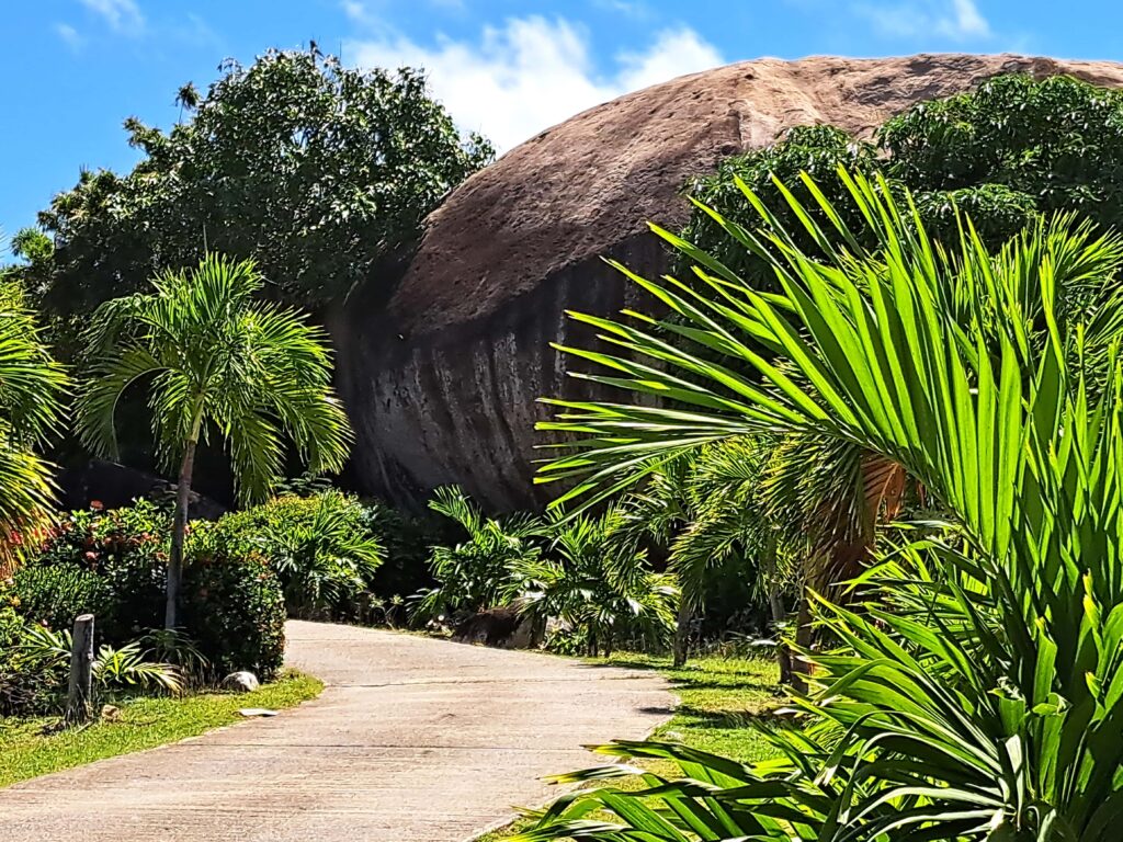 Granitriesen so wie sie die Eiszeit einst zurück gelassen hat. Sie sind das Wahrzeichen des berühmtesten Strandes der BVI.