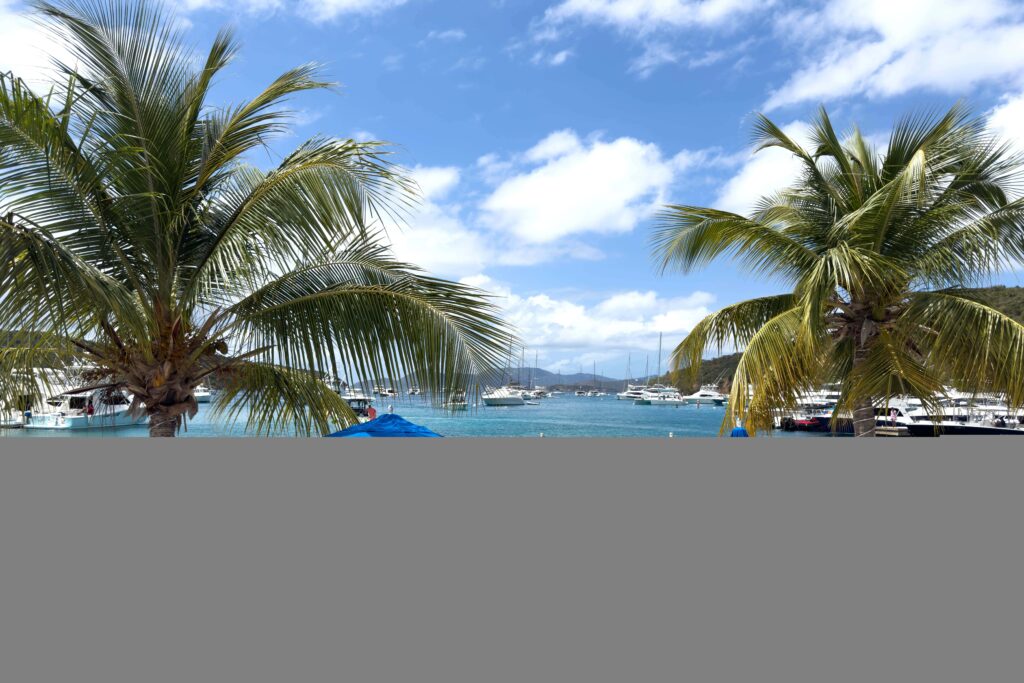 The Bright Norman Island