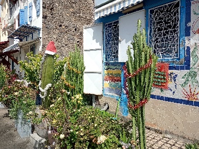 Ein Bild, das draußen, Gebäude, Blumentopf, Zimmerpflanze enthält.  Automatisch generierte Beschreibung