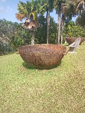 Ein Bild, das draußen, Gras, Himmel, Baum enthält.  Automatisch generierte Beschreibung
