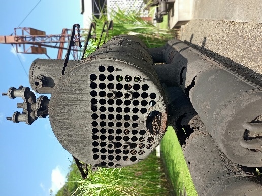 Ein Bild, das draußen, Himmel, Pflanze, Gras enthält.  Automatisch generierte Beschreibung