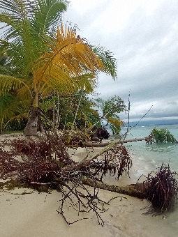 Ein Bild, das draußen, Wolke, Himmel, Strand enthält.  Automatisch generierte Beschreibung