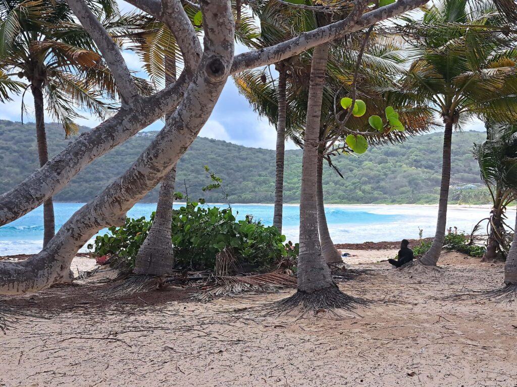 Annaeherung Flamingo Beach