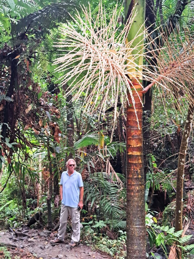 Bernd Juan Diego Creek