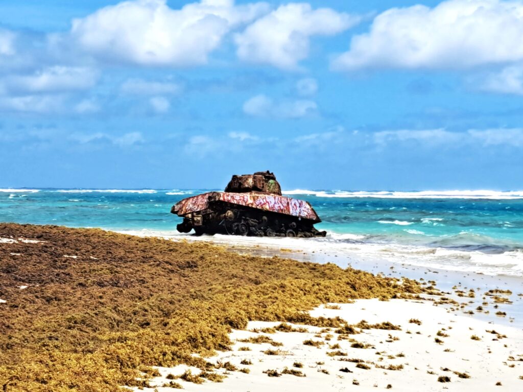 Panzer im Wasser Flamingo Beach
