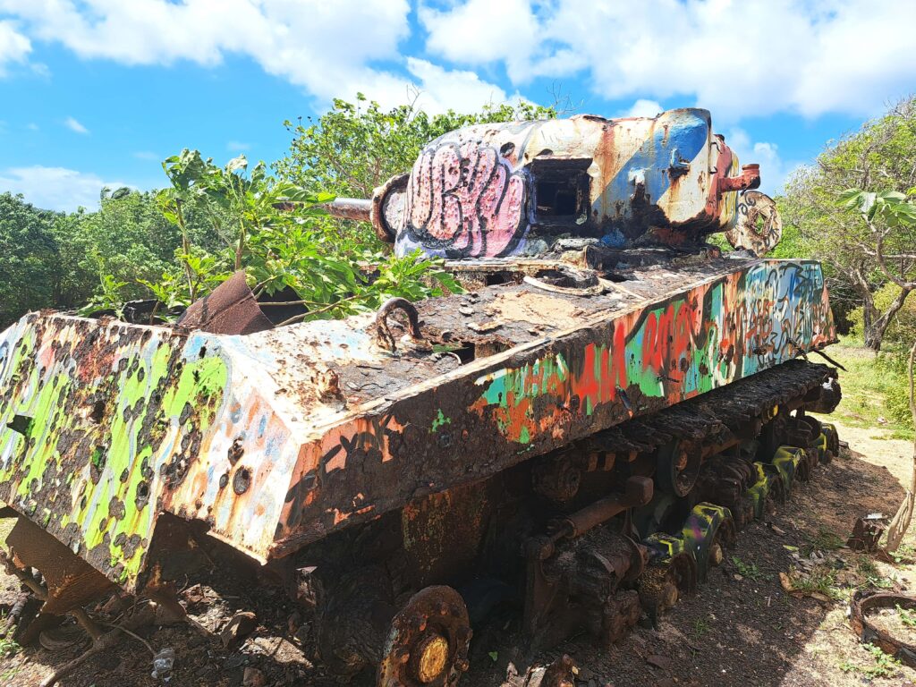 Panzer von Pflanzen ueberwuchert