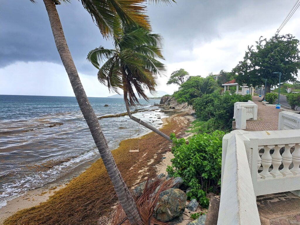 Promenade Vieques