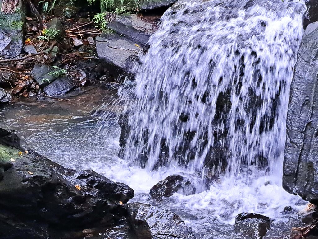 Wasserfall Juan Diego Creek