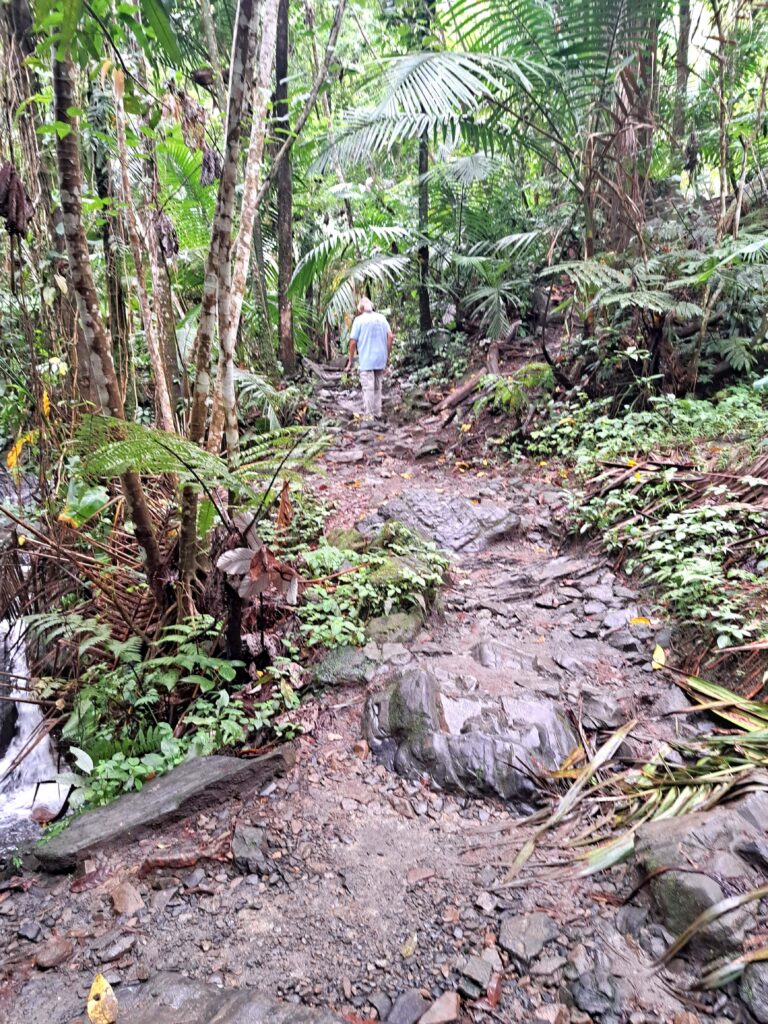 Weg Juan Diego Creek