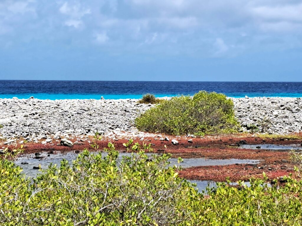 01 Kueste Bonaire