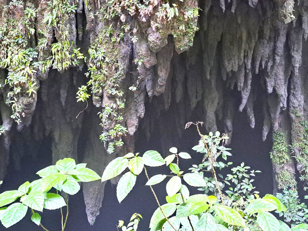 08 Bizarre Formationen von Stalagtiten
